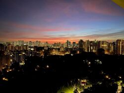 The Draycott (D10), Apartment #471353381